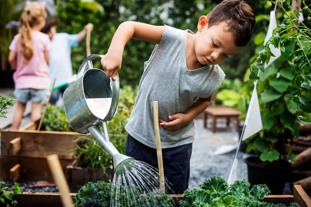 Allt fler unga svenskar börjar med trädgårdsodling hemma