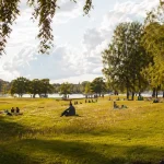Solig park med människor som njuter av varmt sommarväder under björkar