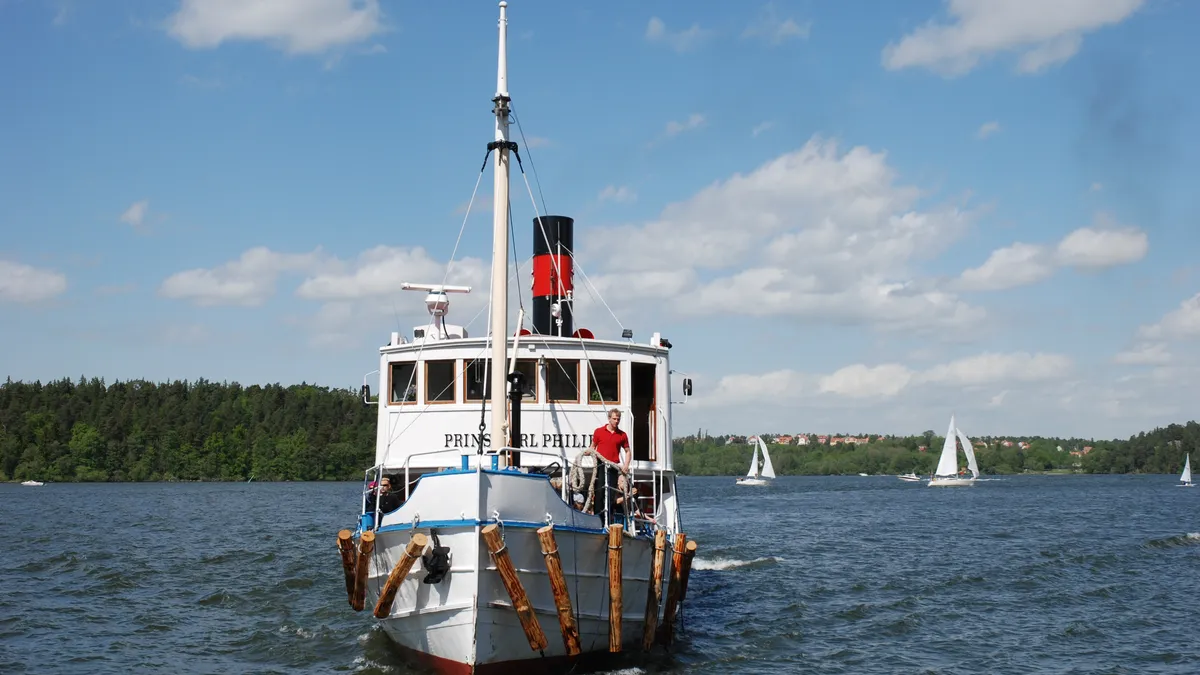 Vitt passagerarfartyg på Mälaren med Drottningholms slott skymtande vid horisonten