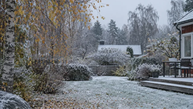 När kommer snön 2026? Här brukar första snön falla i din del av landet