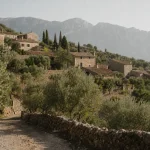 Stenhus och olivlundar i bergsbyn Tramuntana på Mallorca