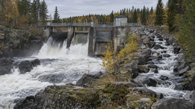 Vattenkraften och fisken: därför bråkar man om miljökraven